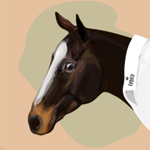 Bravio #112