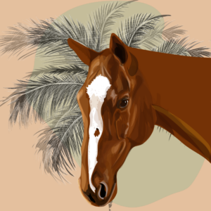 Canela #046