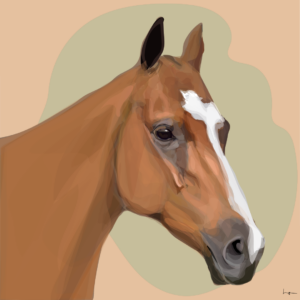 Binter #001
